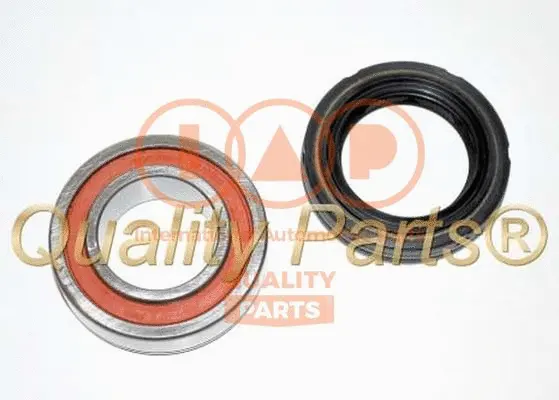 Wheel Bearing Kit (409-10042K)