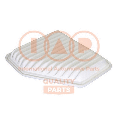 Air Filter (121-17055)