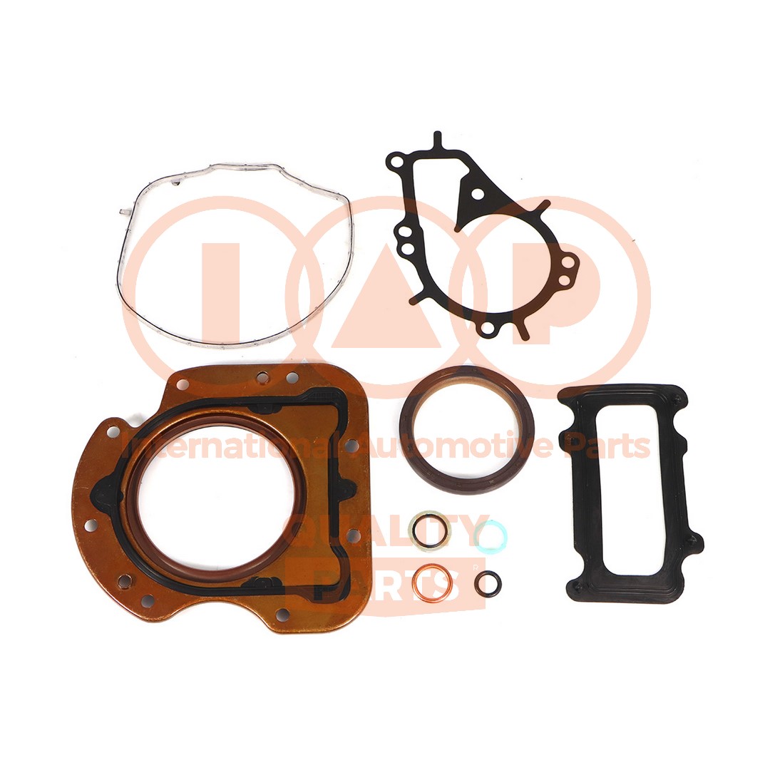 Gasket Kit, crankcase (117-52020)