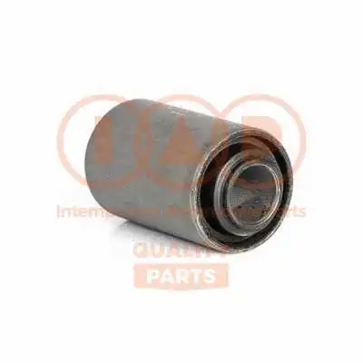 Bushing, leaf spring