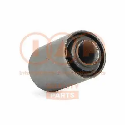 Bushing, leaf spring
