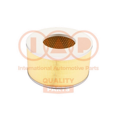 Air Filter (121-17063)