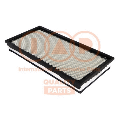 Air Filter (121-01042)