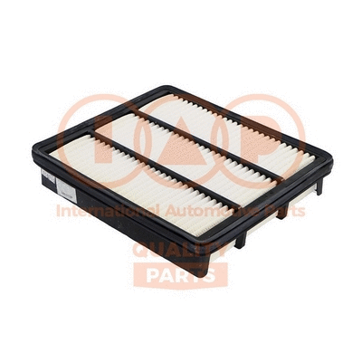 Air Filter (121-07081G)