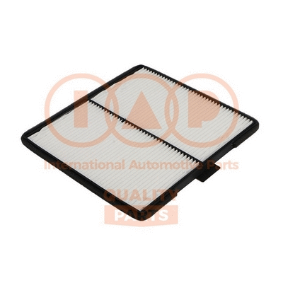 Filter, cabin air (821-20061)