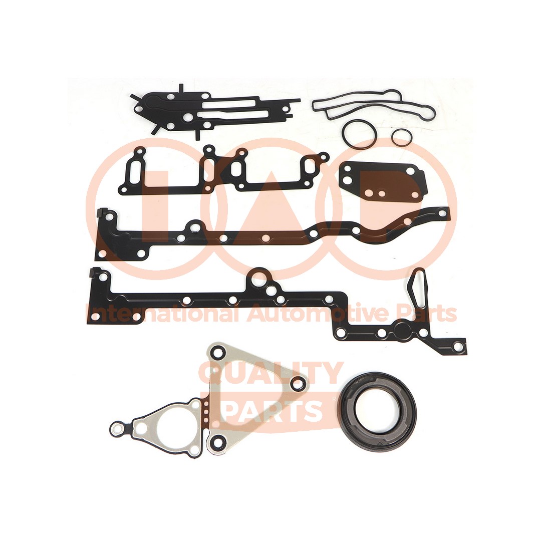 Gasket Kit, crankcase (117-04050)