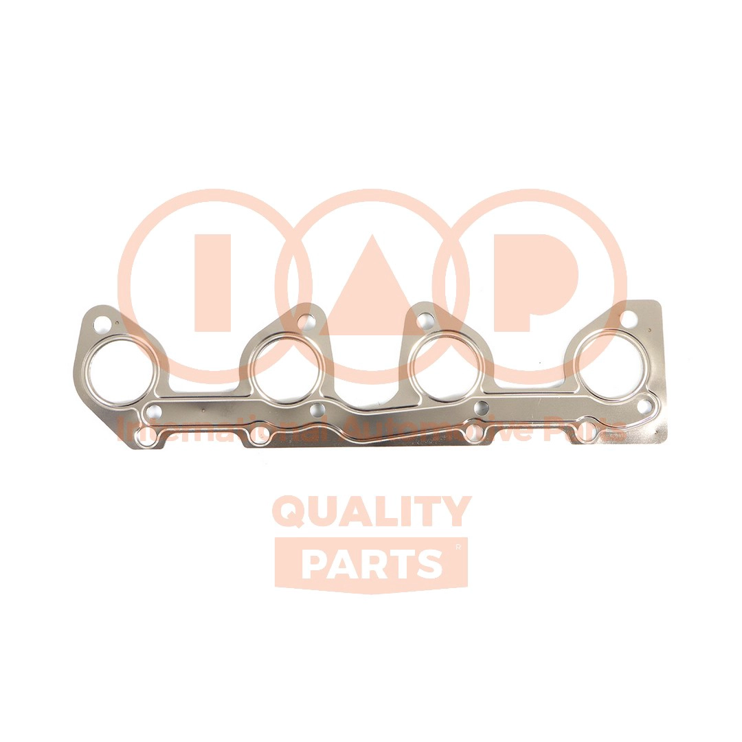 Gasket Kit, crankcase (117-52060)