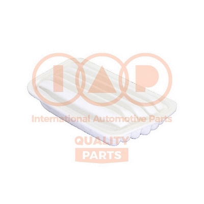 Air Filter (121-03074)