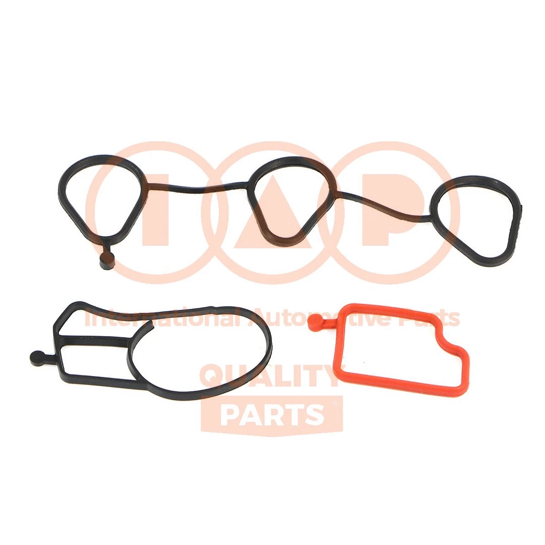 Gasket Kit, crankcase (117-20060)