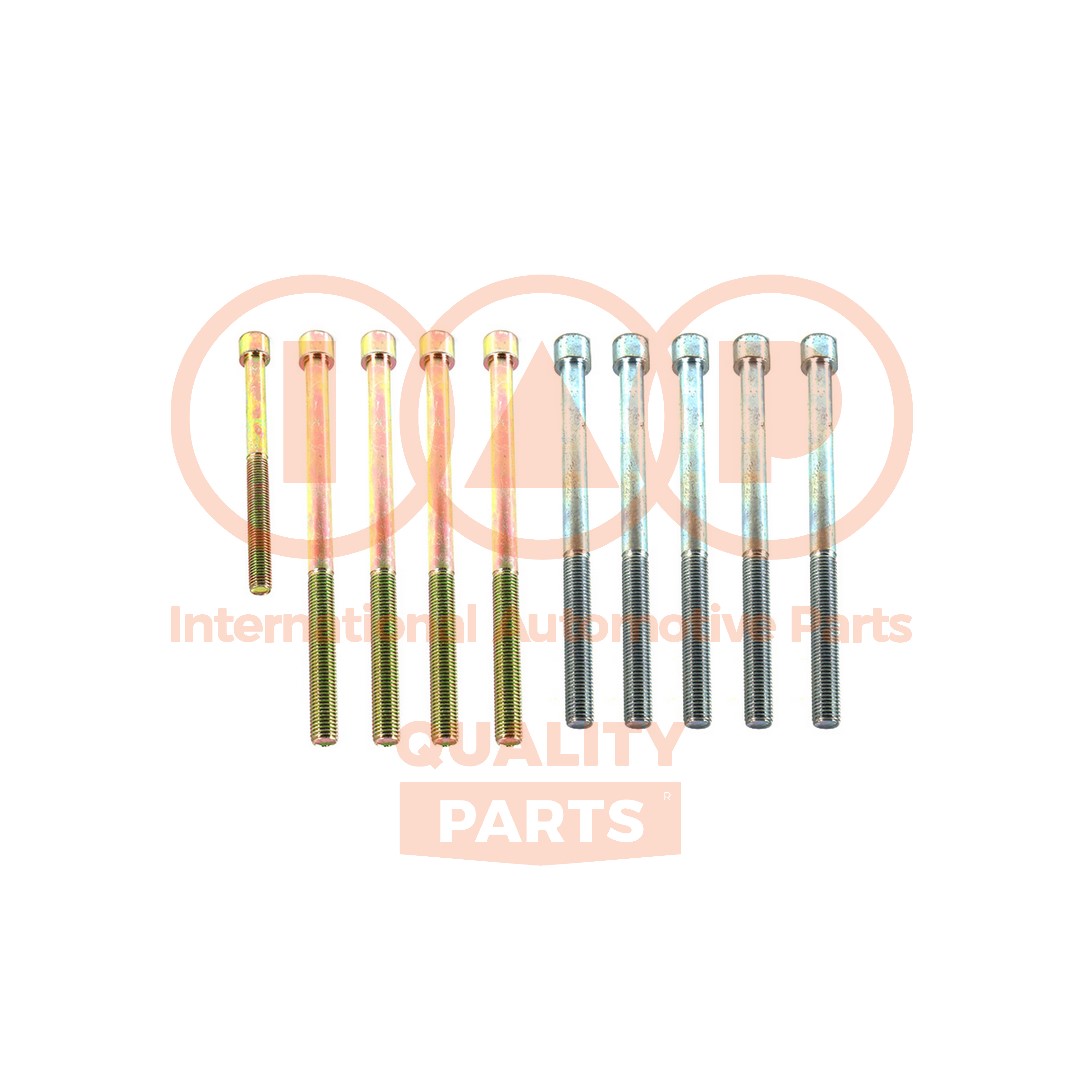 Cylinder Head Bolt Set (119-50000)