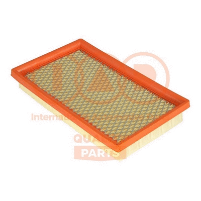 Air Filter (121-06080)