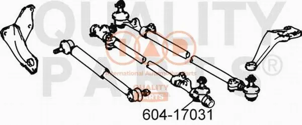 Tie Rod End (604-17031)