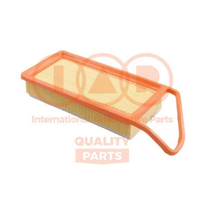 Air Filter (121-17007)