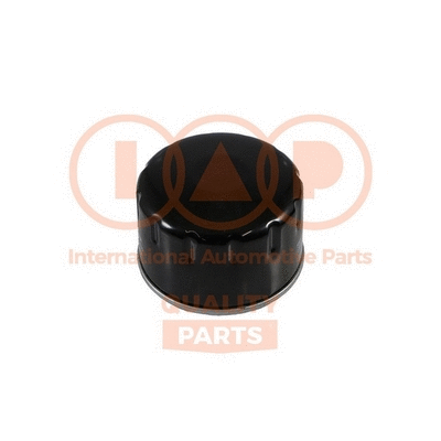 Oil Filter (123-13093)