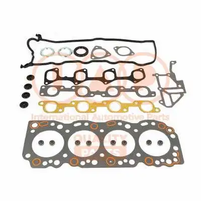 Gasket Kit, cylinder head (116-17050)