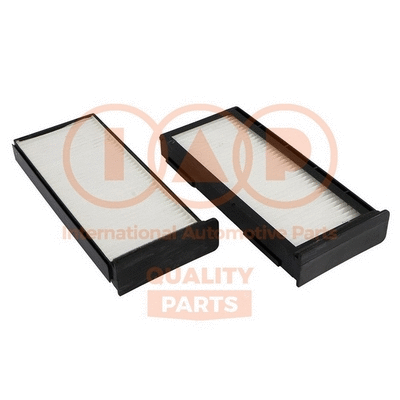 Filter, cabin air (821-12080)