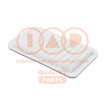 Air Filter (121-03098)