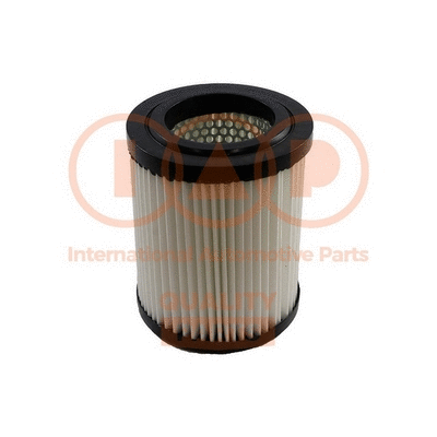 Air Filter (121-06090)