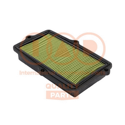 Air Filter (121-06020)