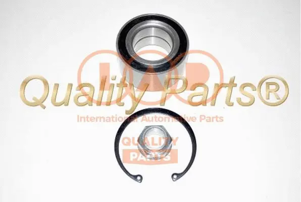 Wheel Bearing Kit (409-06070K)