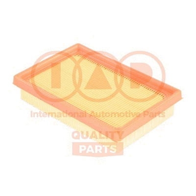 Air Filter (121-17008)