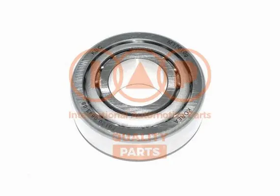 Wheel Bearing Kit (409-07061)