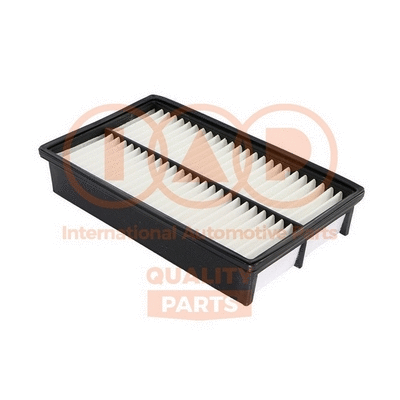 Air Filter (121-11100)