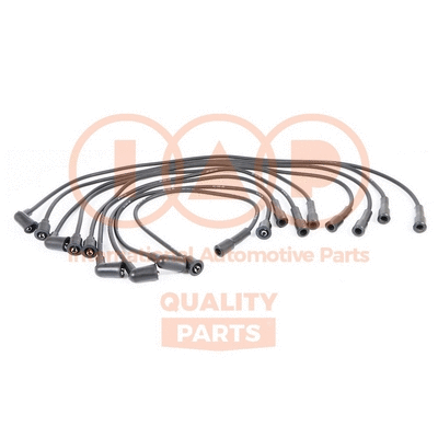 Ignition Cable Kit (808-14050)