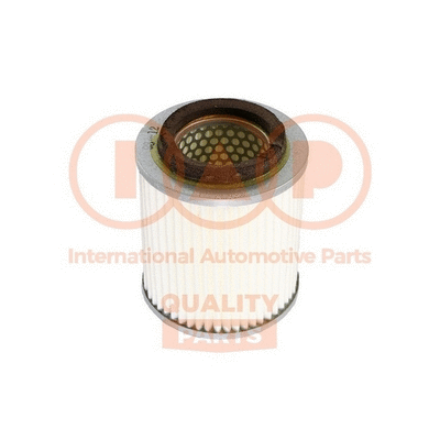 Air Filter (121-16010)
