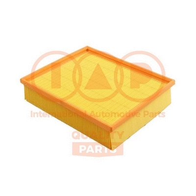 Air Filter (121-09070)