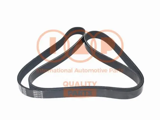 V-Ribbed Belt (140-14031)