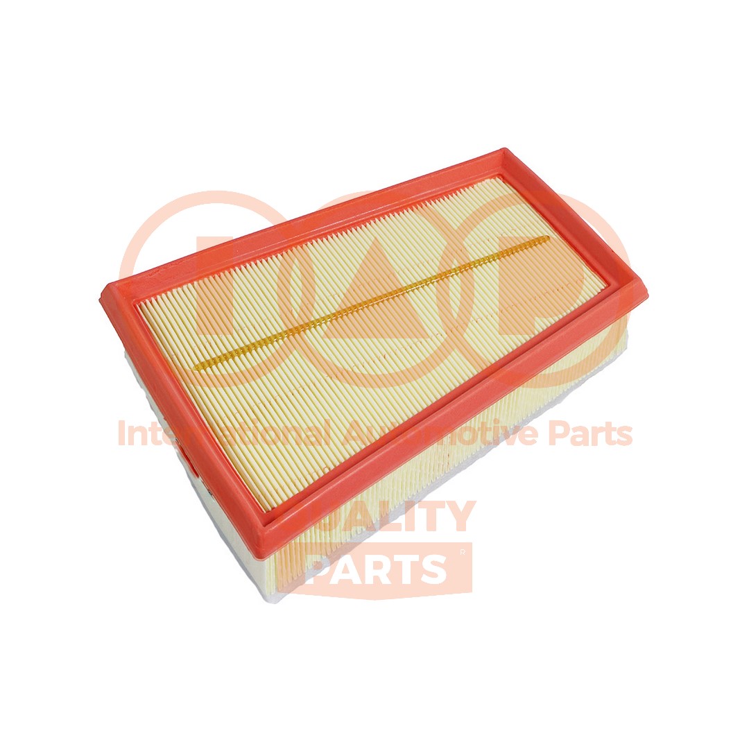 Air Filter (121-29080)