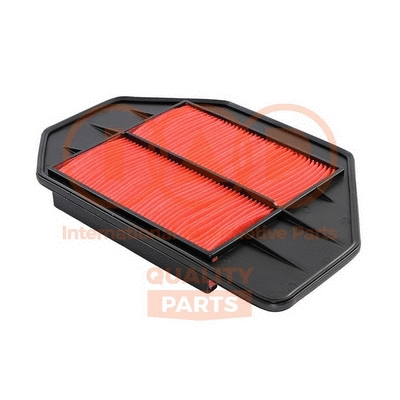 Air Filter (121-06019)