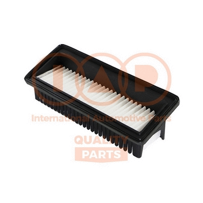 Air Filter (121-07096)