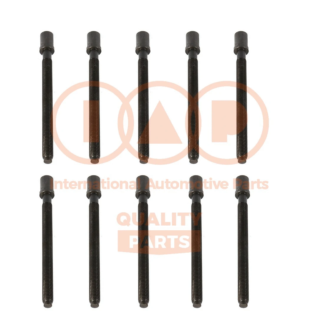 Cylinder Head Bolt Set (119-10070)