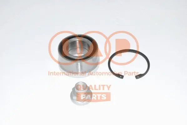 Wheel Bearing Kit (409-16066K)