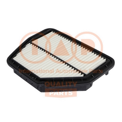 Air Filter (121-20090G)