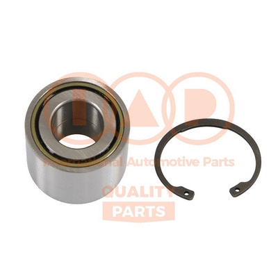 Wheel Bearing Kit (409-12066K)