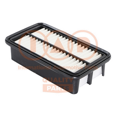 Air Filter (121-21091)