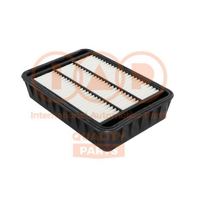 Air Filter (121-12055)