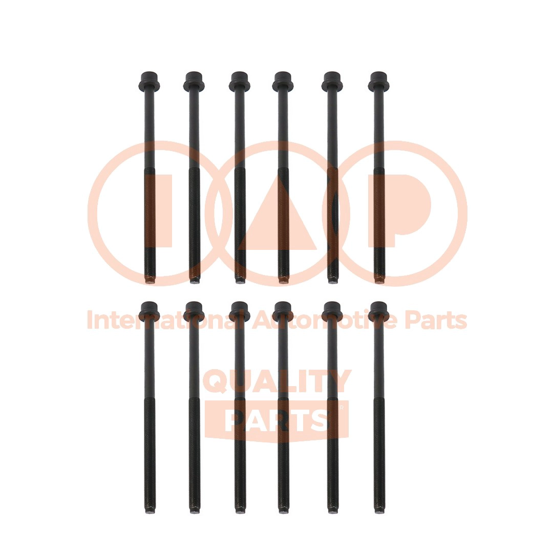 Cylinder Head Bolt Set (119-08032)