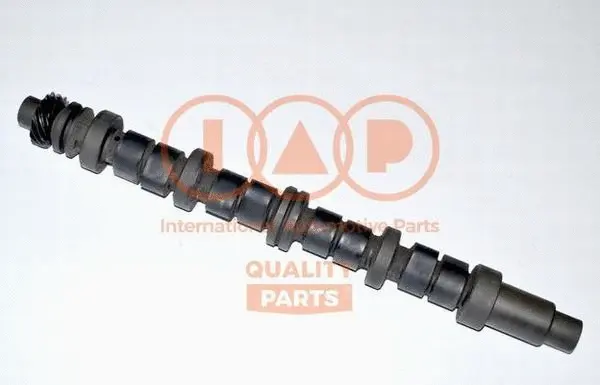 Camshaft (124-16071)