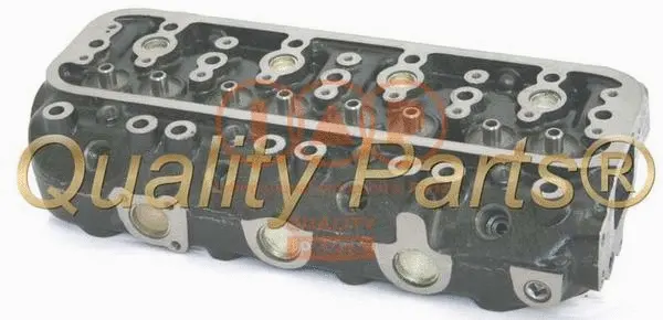 Cylinder Head (120-03021E)