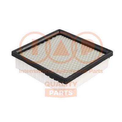 Air Filter (121-06060)