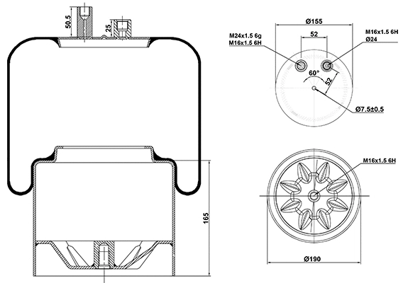 Bellow, air suspension (020.4390.C23)