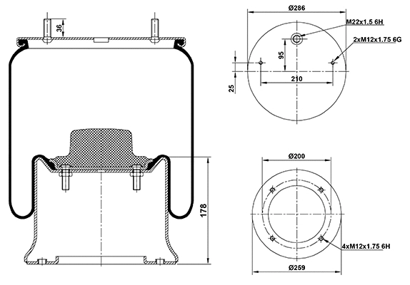 Bellow, air suspension (020.4028.C02)