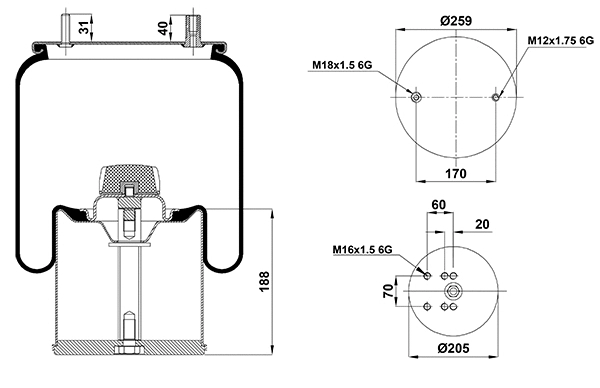 Bellow, air suspension (020.4941.C)