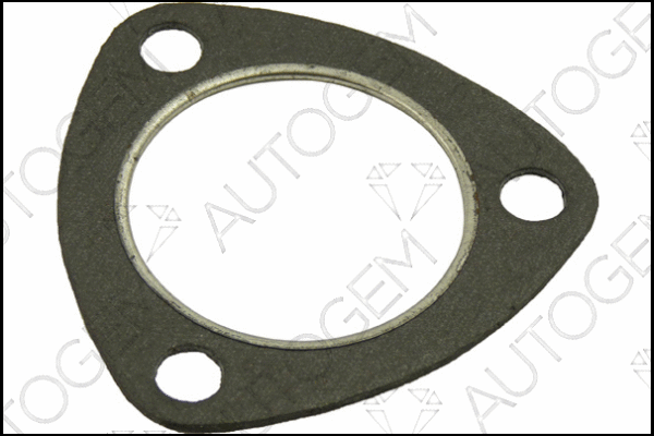 Gasket, exhaust pipe (CEG440)
