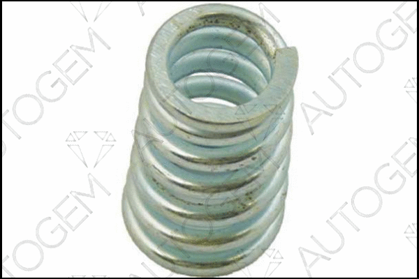 Spring, muffler (CSC188)