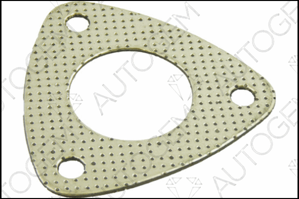 Gasket, exhaust pipe (CEG761)